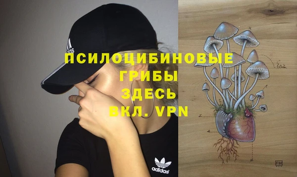 скорость Аркадак