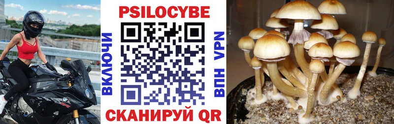 купить наркотики сайты МЕГА Галлюциногенные грибы Cubensis Полесск