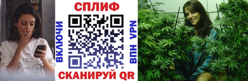 где продают   Полесск  Конопля конопля 